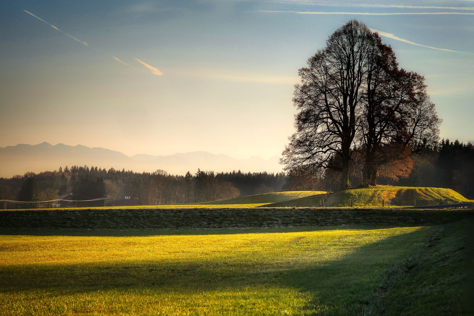 Panasonic Lumix DMC-GX8 sample photo. Wies, field, light photography
