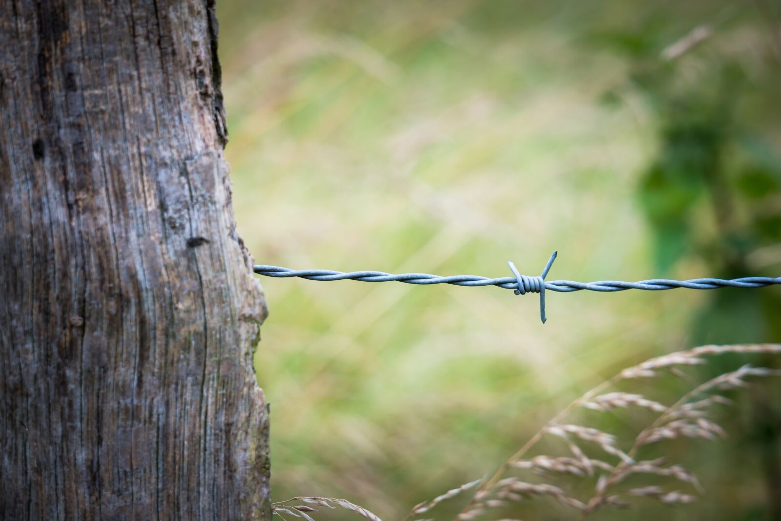 Samsung NX 50-200mm F4-5.6 ED OIS sample photo. Barbed wire, fence, pile photography