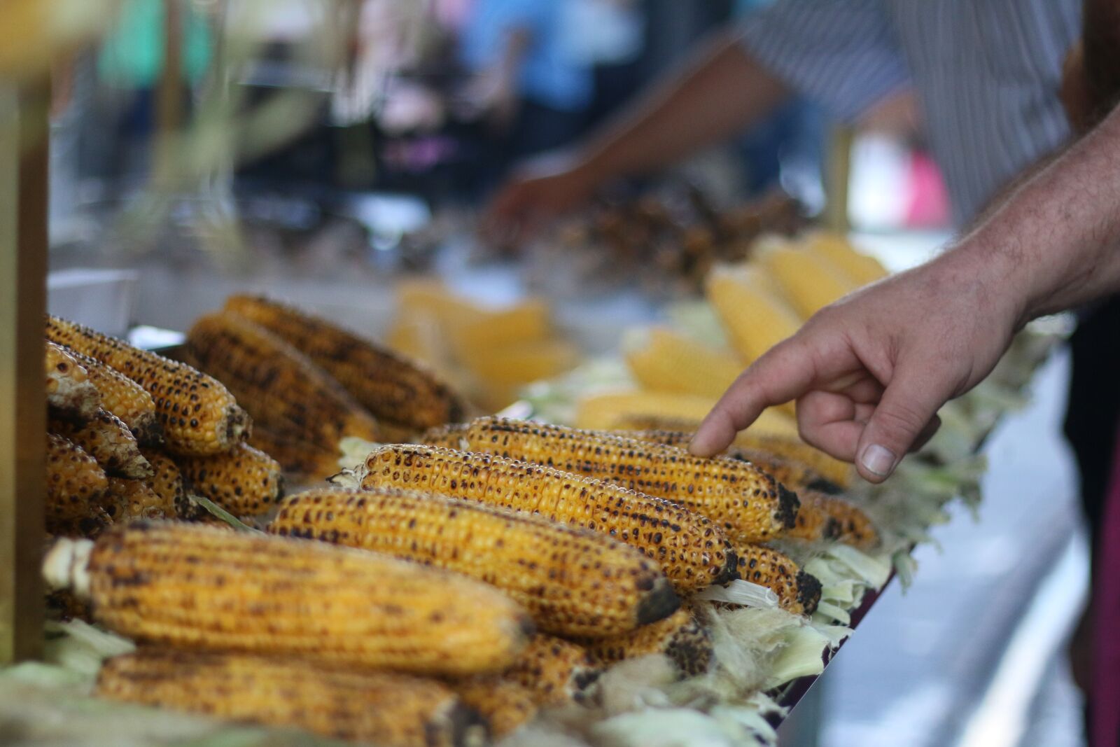 Canon EOS 70D + Canon EF 50mm F1.8 STM sample photo. The peddler, hawker, selection photography