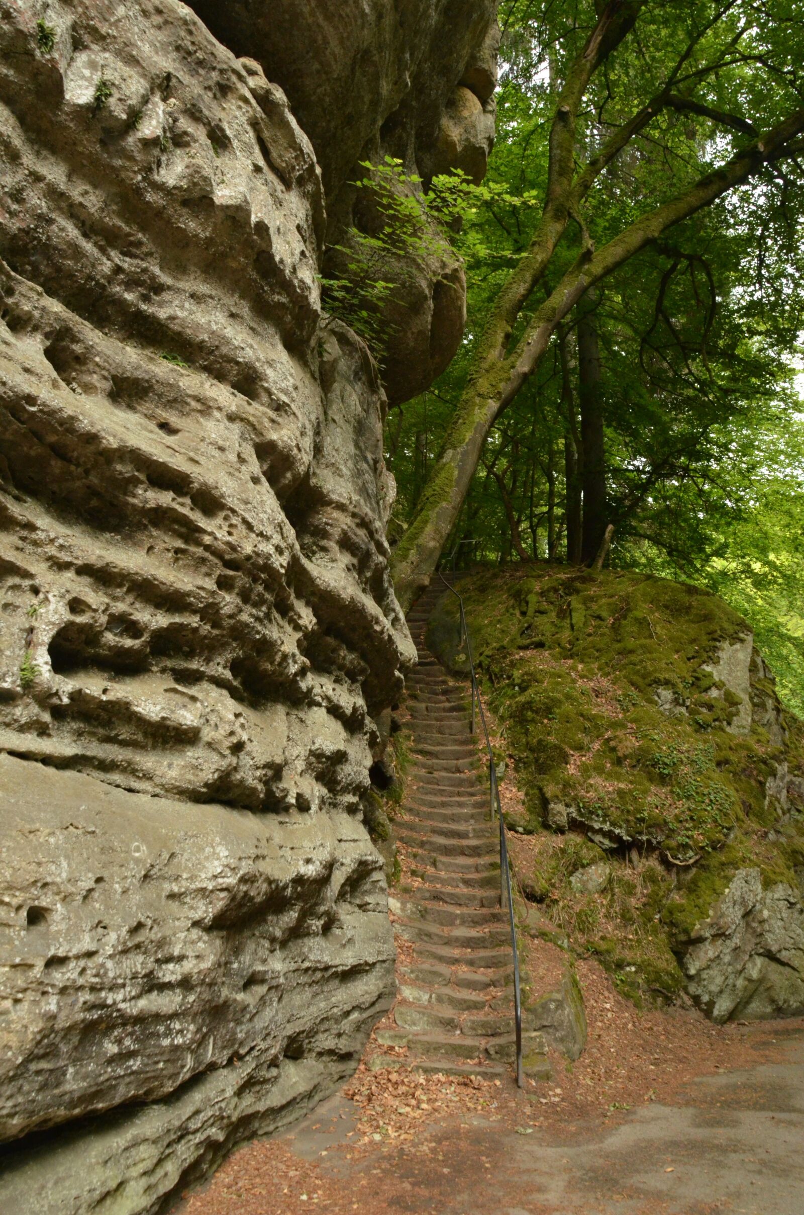 Nikon D7000 sample photo. Rock, trap, forest photography