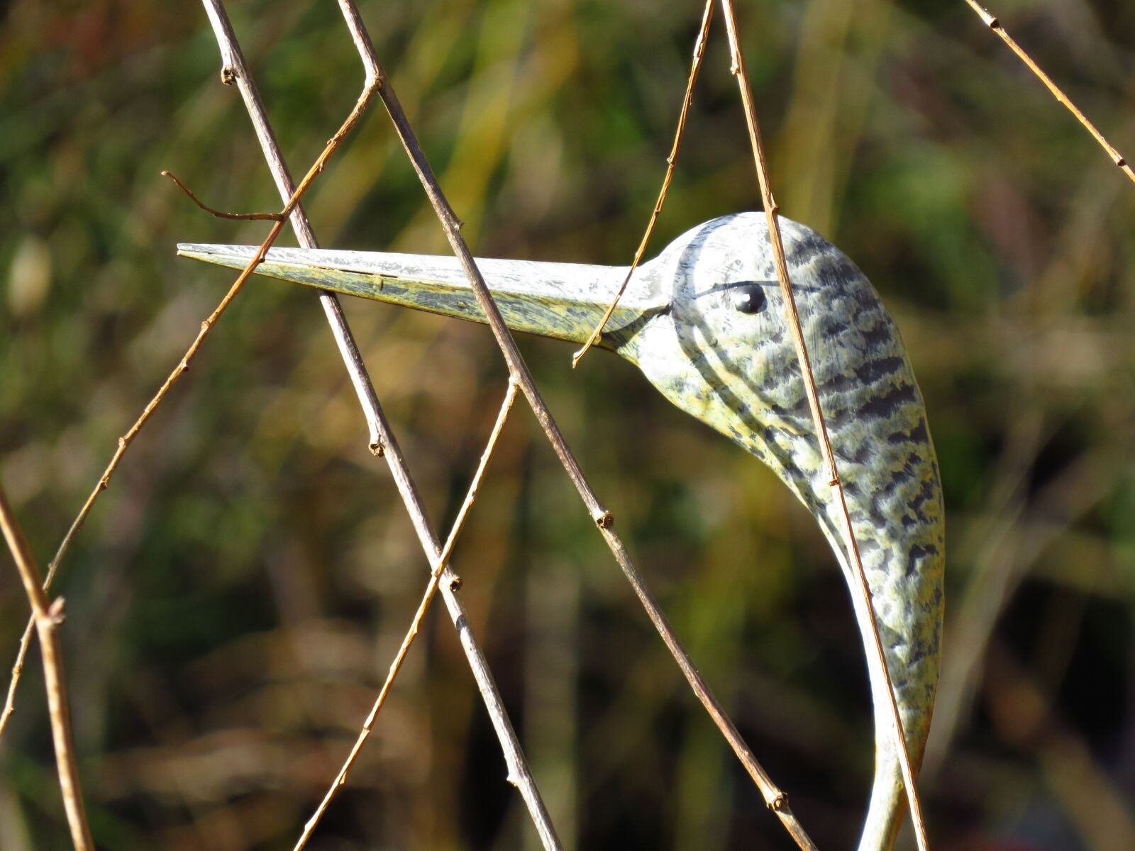 Canon PowerShot SX50 HS sample photo. Heron, metal, metal head photography
