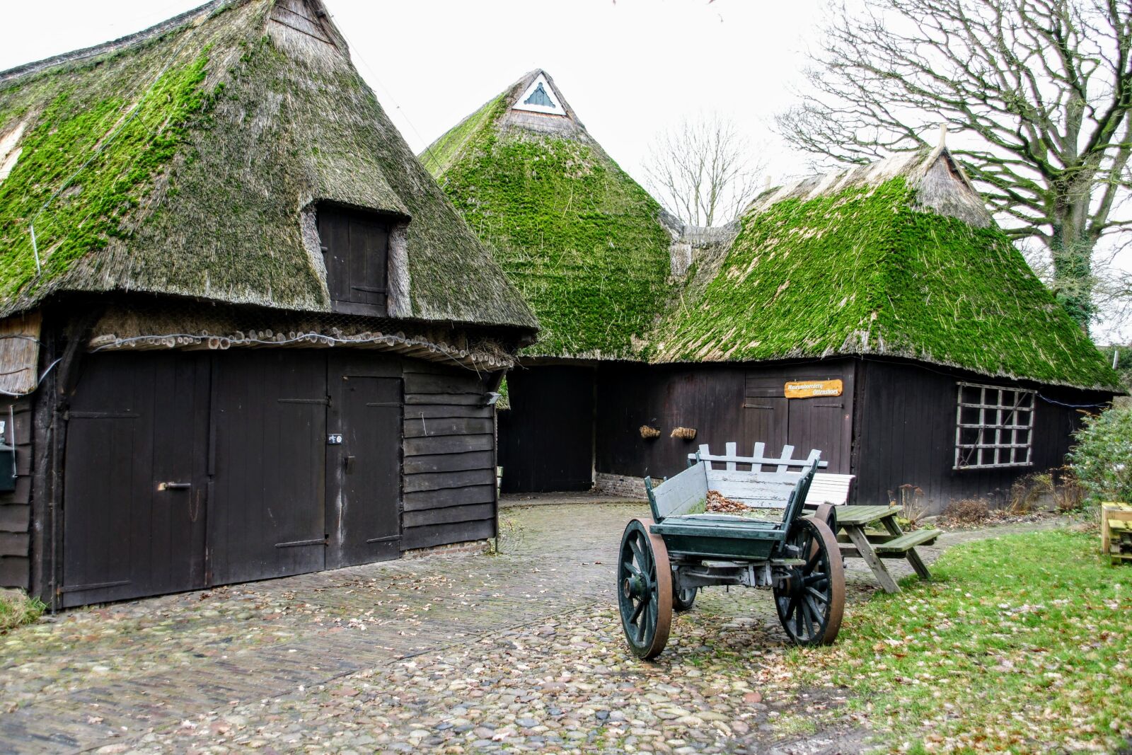 Sony Alpha DSLR-A700 sample photo. Farm, orvelte, drenthe photography