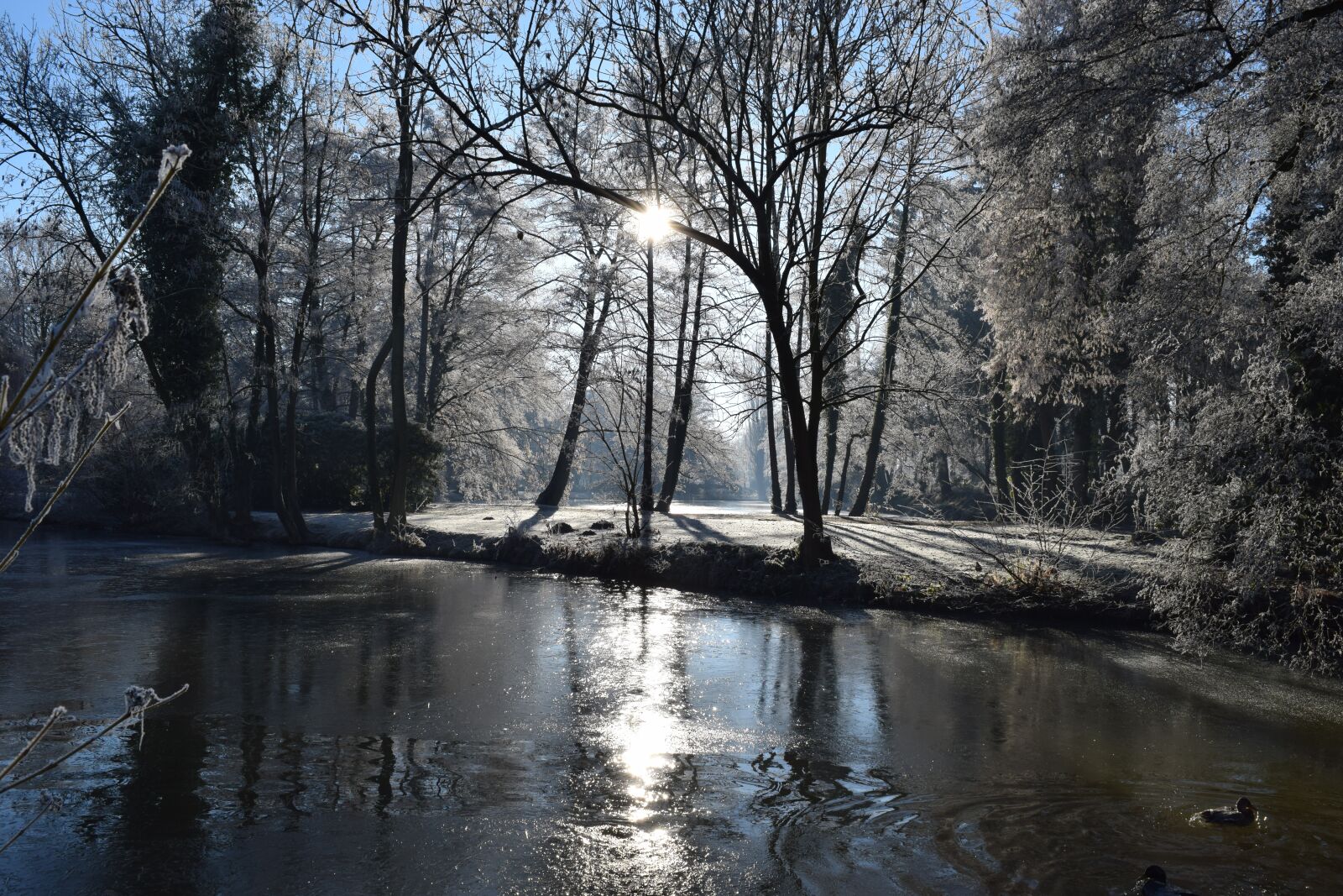 Nikon D3300 sample photo. Delmenhorst, castle island, graft photography