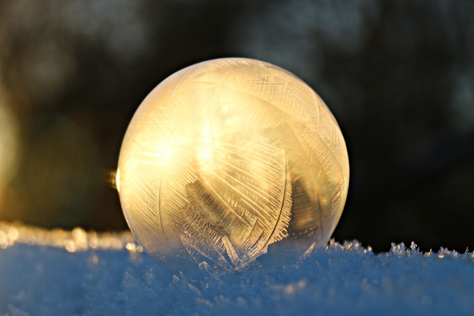Canon EOS 100D (EOS Rebel SL1 / EOS Kiss X7) sample photo. Soap bubble, eiskristalle, ball photography