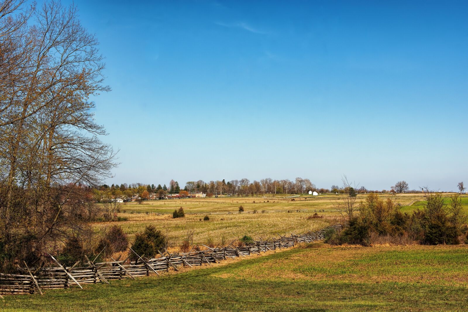 Nikon D7200 sample photo. Nature, tree, landscape photography