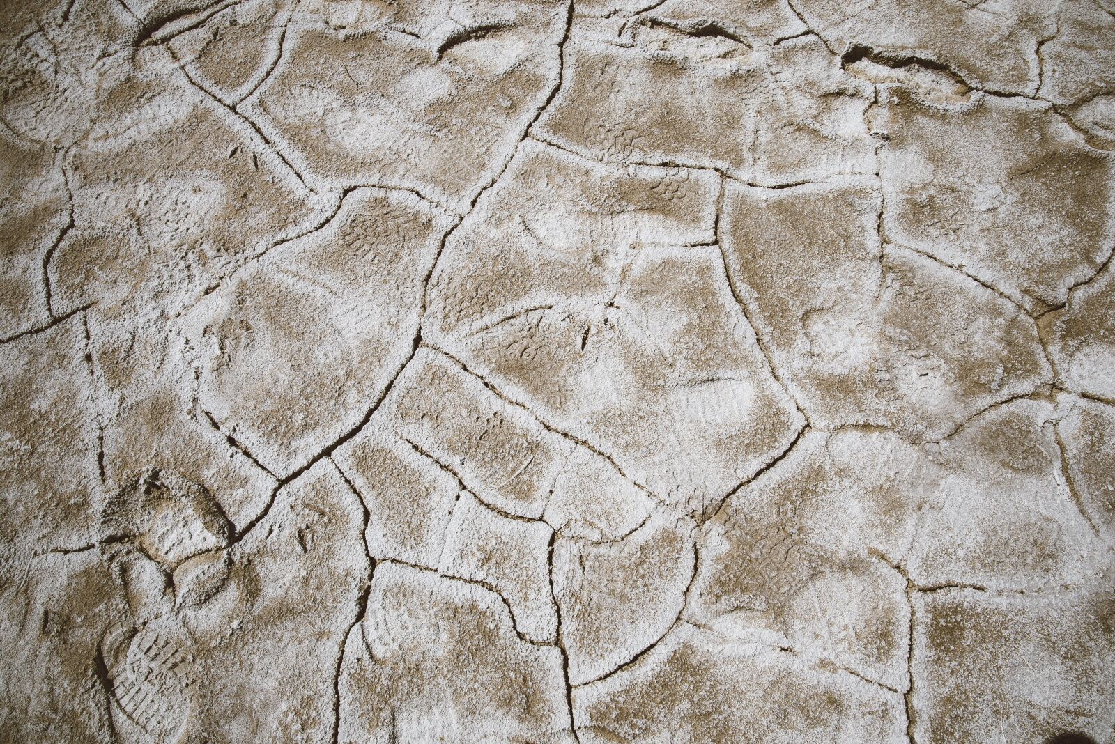 Nikon D610 sample photo. Arid, barren, cracks photography