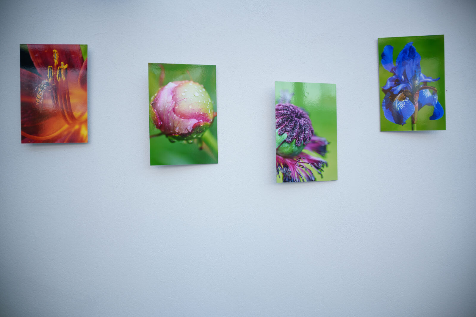 Samyang Remaster Slim 21mm F3.5 sample photo. Artwork wall photography