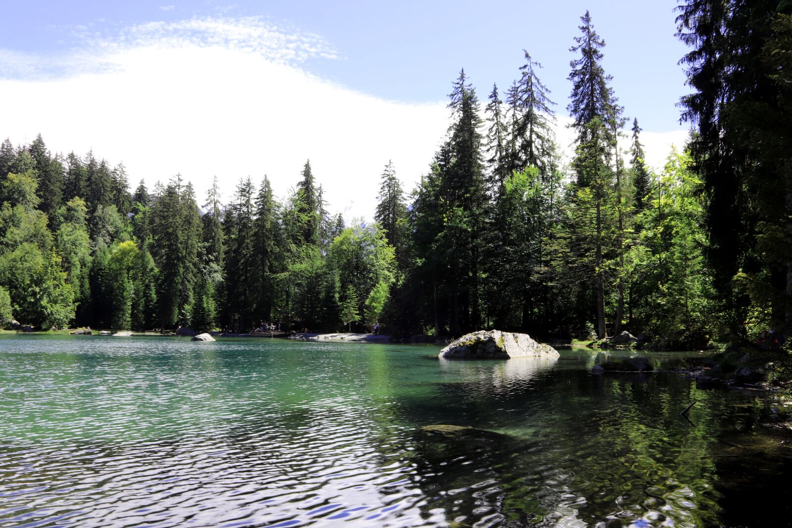 Canon EOS 77D (EOS 9000D / EOS 770D) sample photo. Lac vert, france, plaine photography