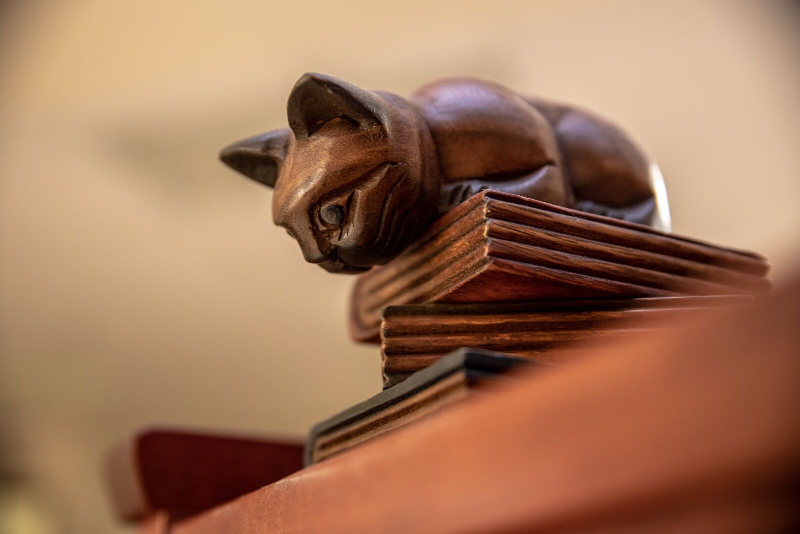 Tamron SP 24-70mm F2.8 Di VC USD sample photo. Library, books, cat photography