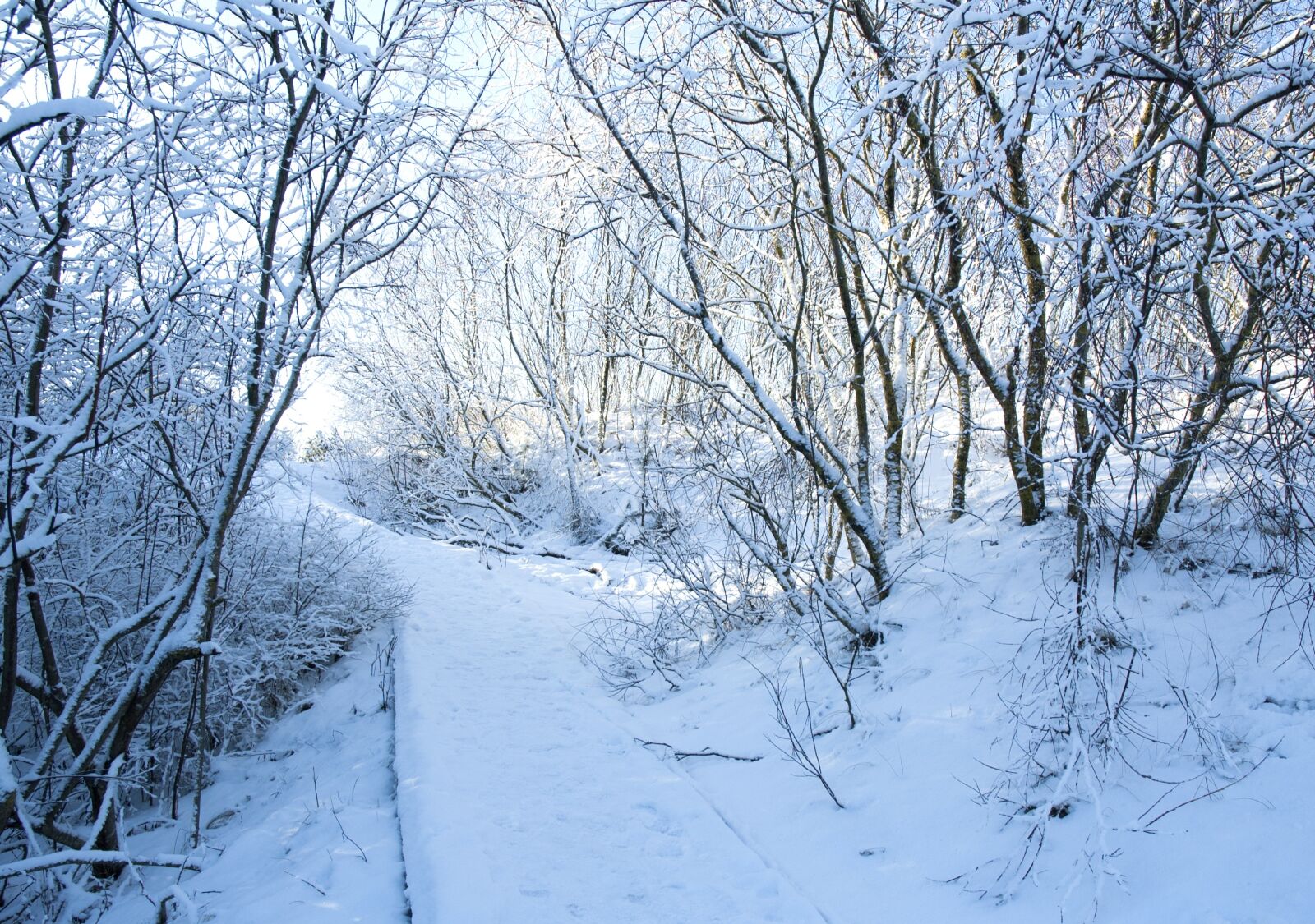 Nikon D70s sample photo. Winter, snow, path photography