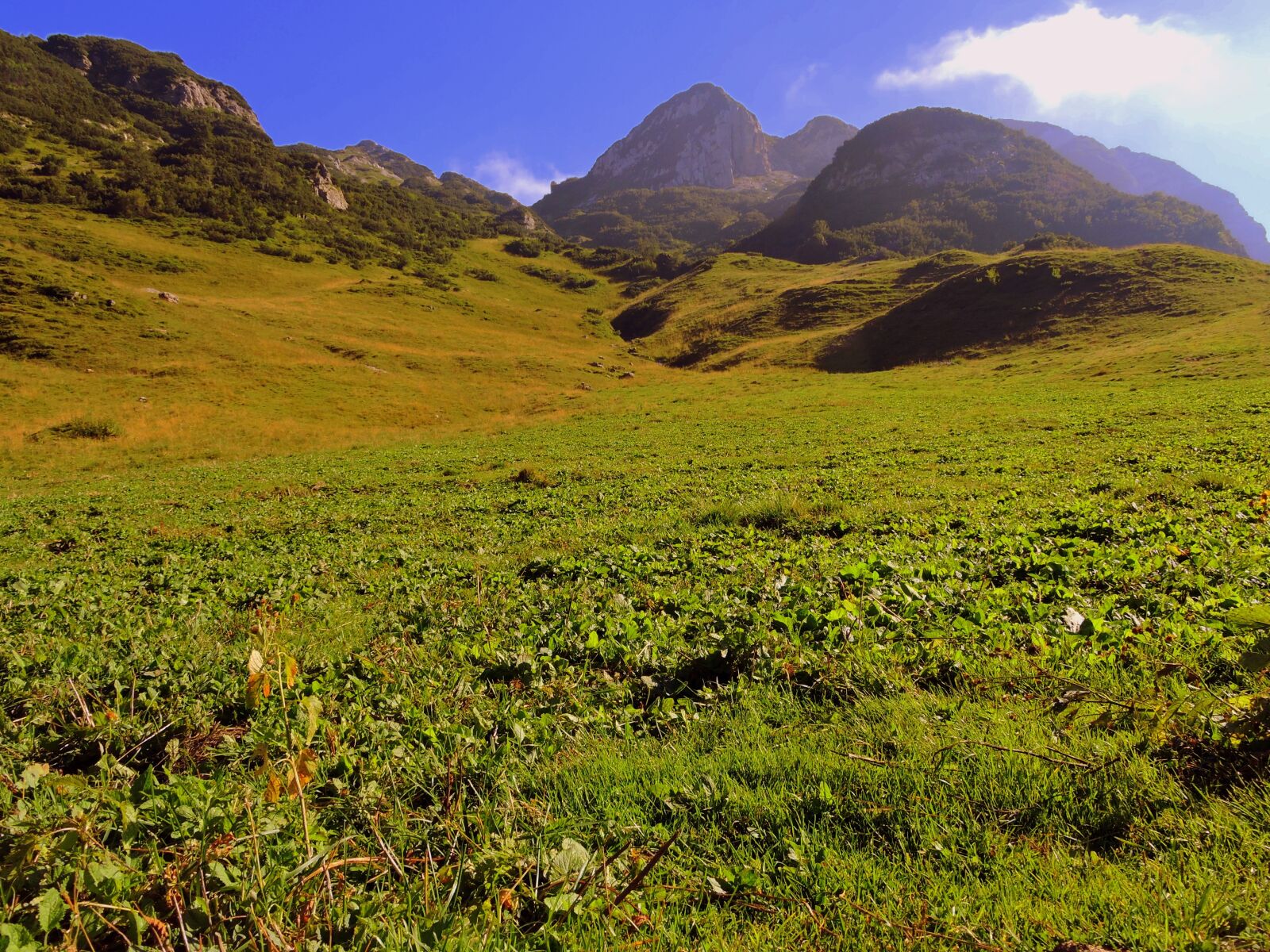 Nikon Coolpix P600 sample photo. Prato, mountain, green photography