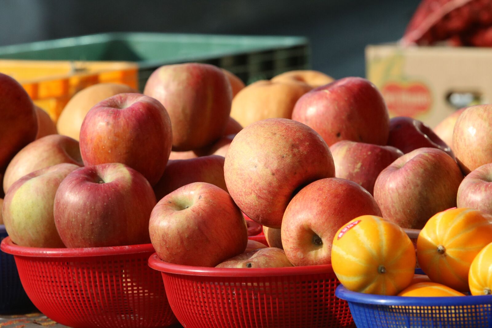 Canon EF 70-200mm F2.8L USM sample photo. Food, fruit, vegetable photography