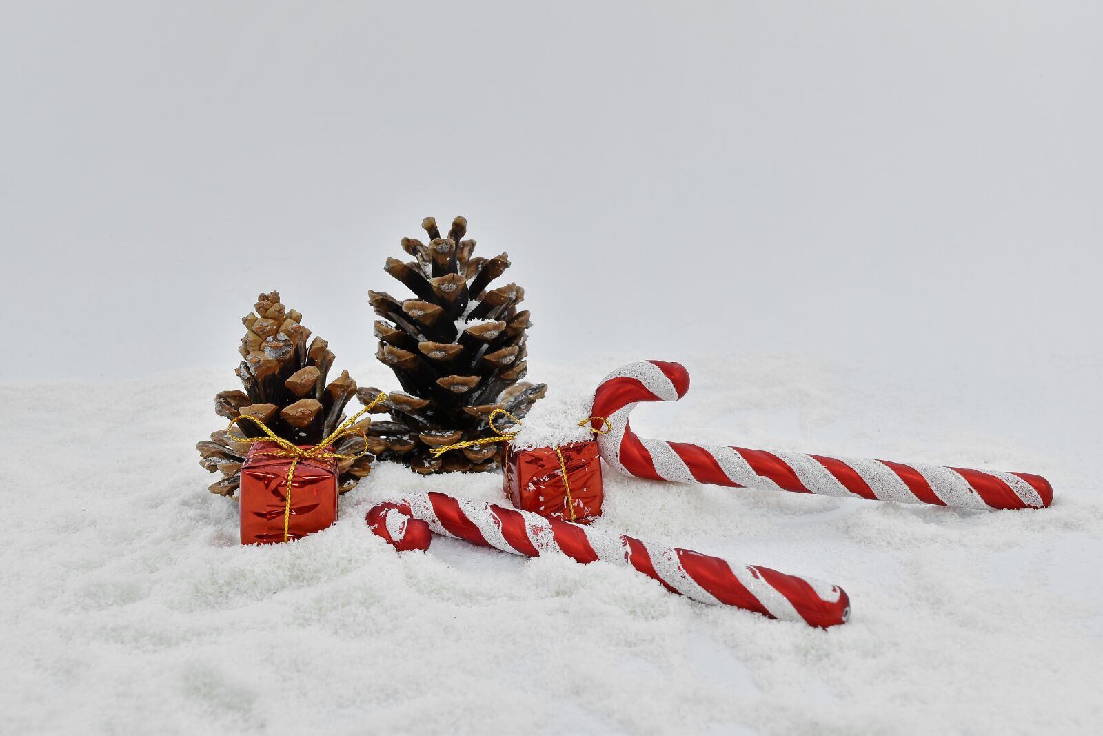 Nikon D5500 sample photo. Celebration, christian, christianity, christmas photography