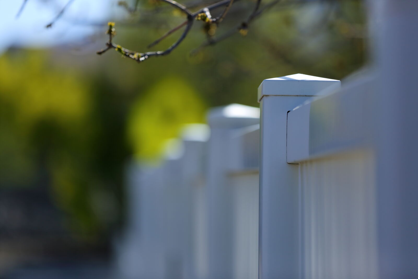 Canon EOS 5D Mark III sample photo. Shallow, dof, vinyl, fence photography