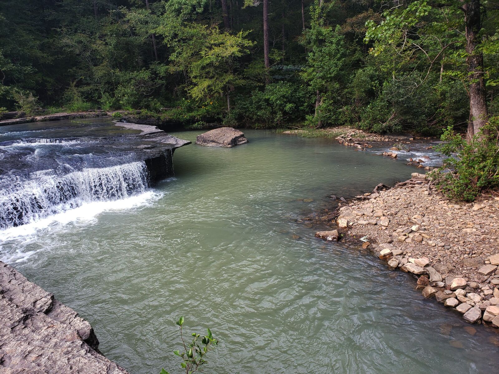 Samsung Galaxy Note9 sample photo. Stream, river, forest photography