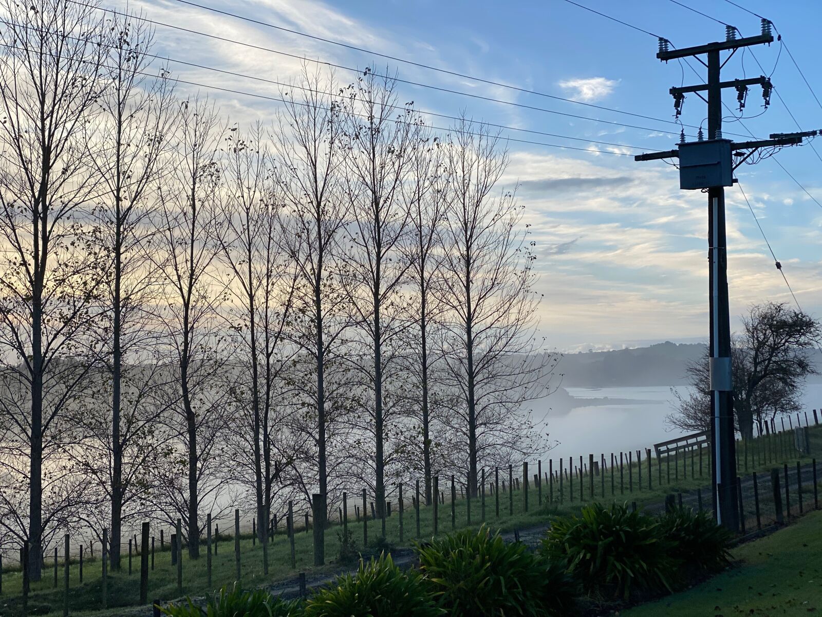 Apple iPhone 11 Pro Max + iPhone 11 Pro Max back triple camera 6mm f/2 sample photo. New zealand, foggy, morning photography