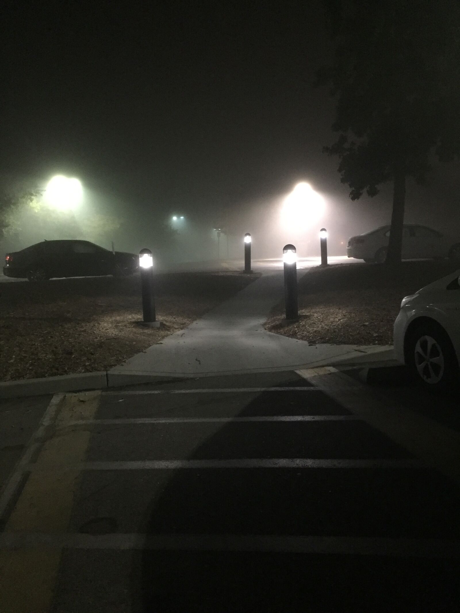 iPhone 6 back camera 4.15mm f/2.2 sample photo. Crosswalk, dark, fog, foggy photography