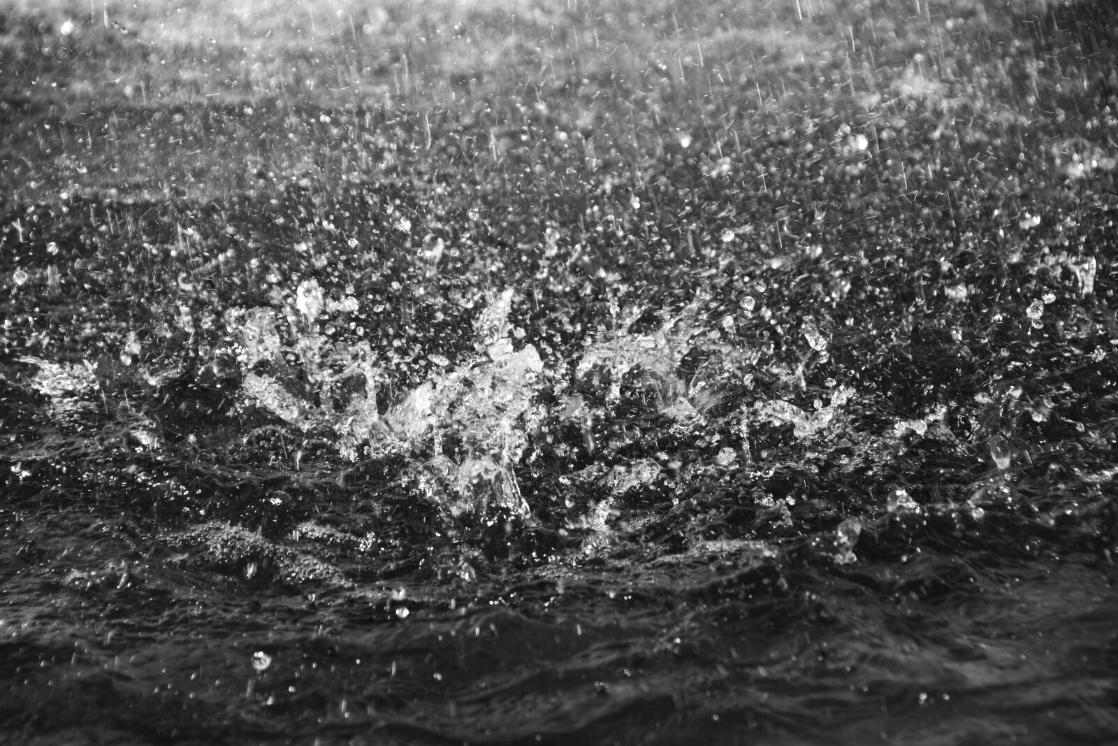Nikon D5600 sample photo. Rain, puddle, flood photography