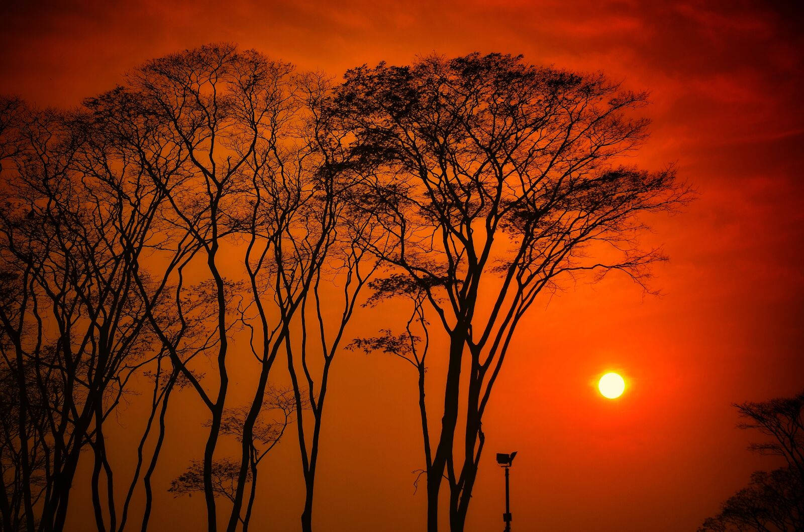 Nikon D5100 sample photo. Sun, in the sky photography