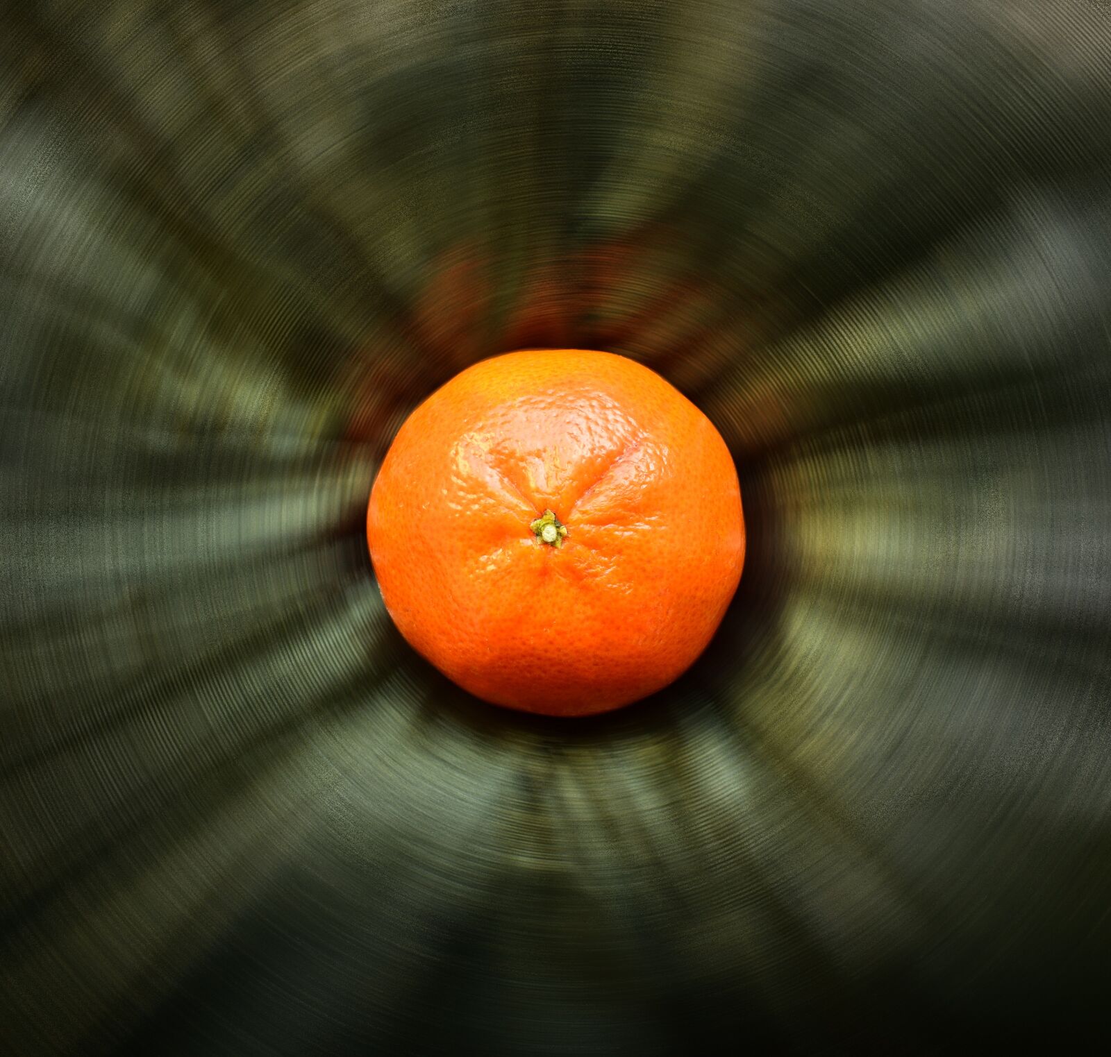 Nikon D5300 sample photo. Tangerine, orange, fruit photography