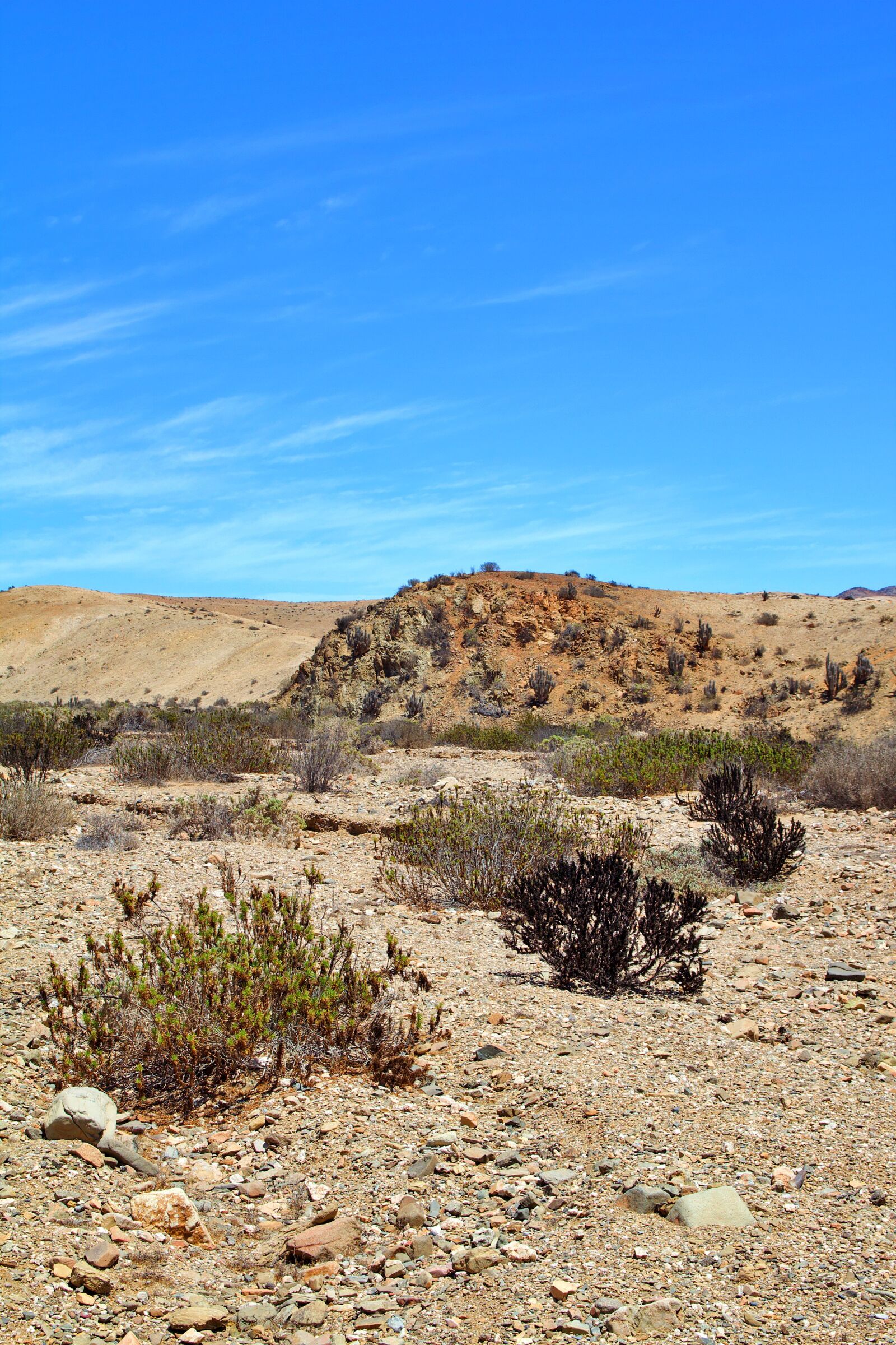 Canon EOS 600D (Rebel EOS T3i / EOS Kiss X5) sample photo. Chile, nature, national park photography