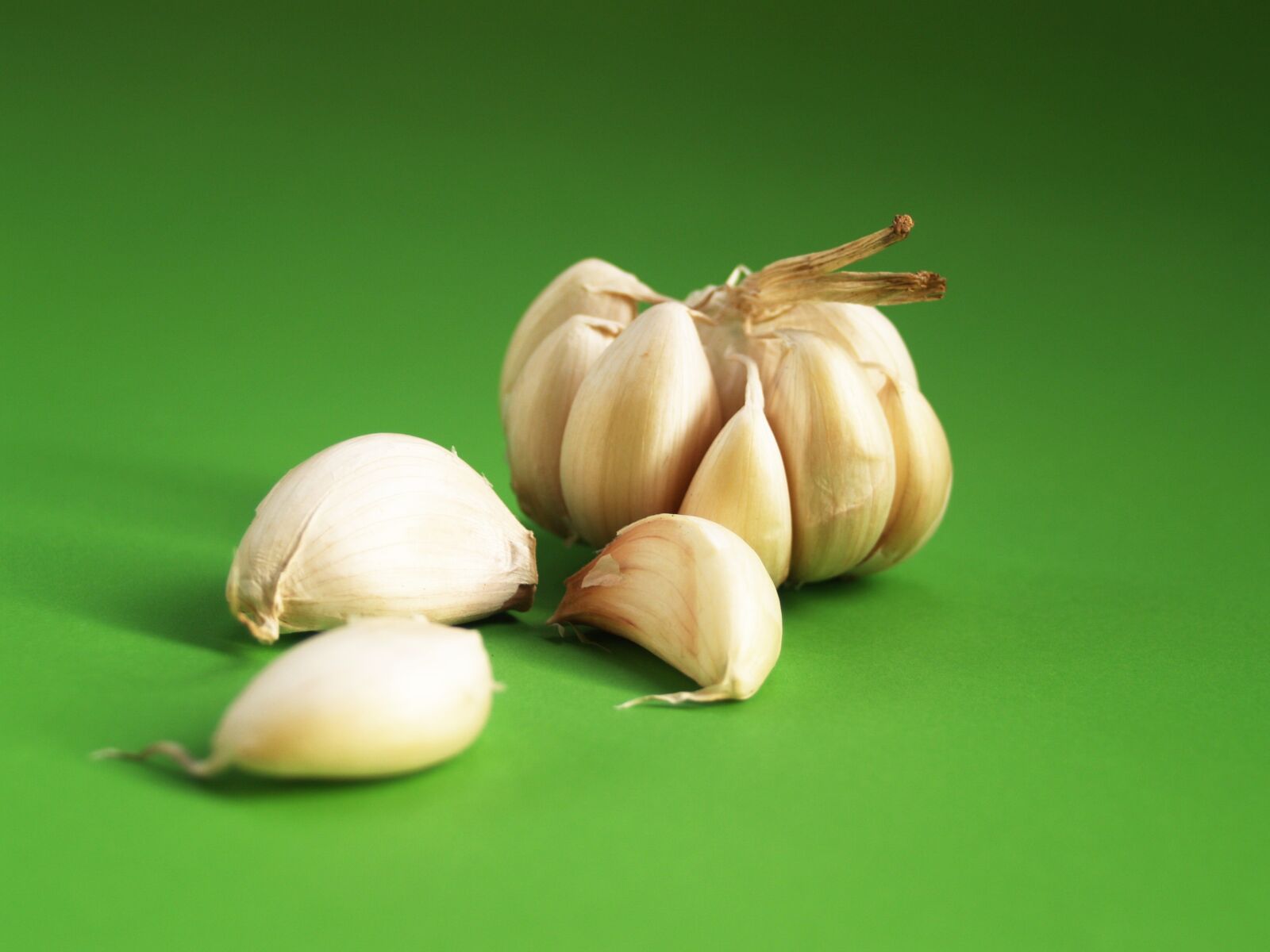 Olympus E-300 (EVOLT E-300) sample photo. Garlic, meals, seasoning photography