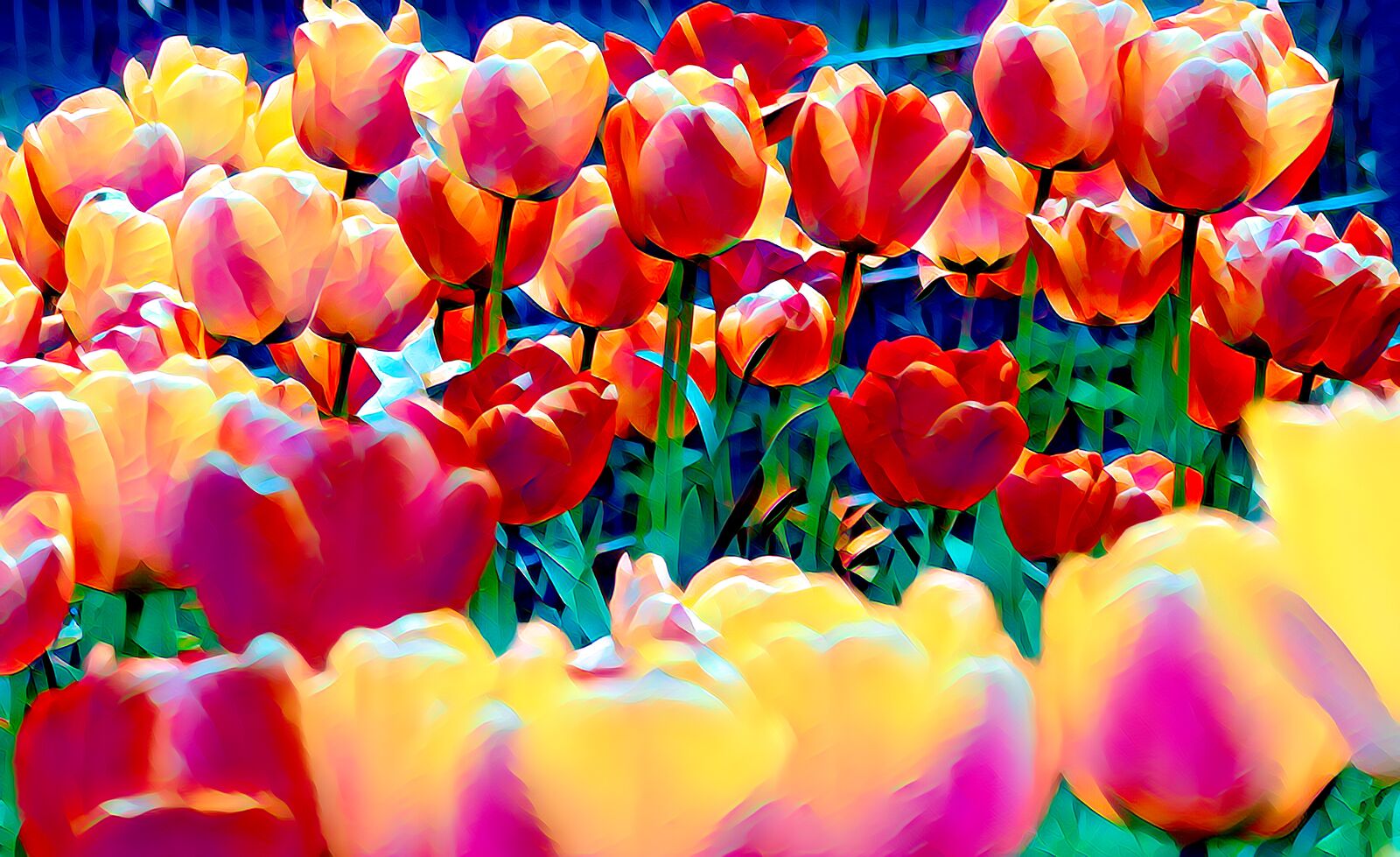 Canon EOS 550D (EOS Rebel T2i / EOS Kiss X4) sample photo. Tulips, flowers, blossom photography
