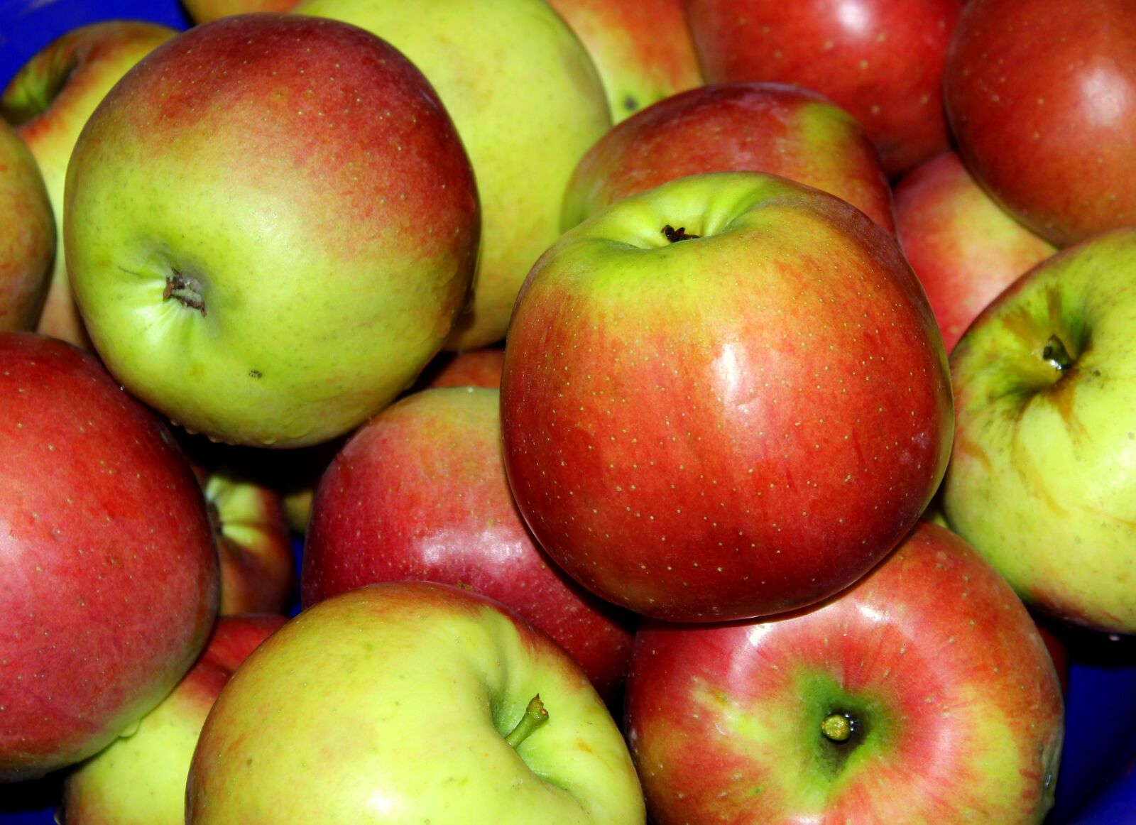 Canon EOS 1200D (EOS Rebel T5 / EOS Kiss X70 / EOS Hi) sample photo. Apples, fruit, autumn photography