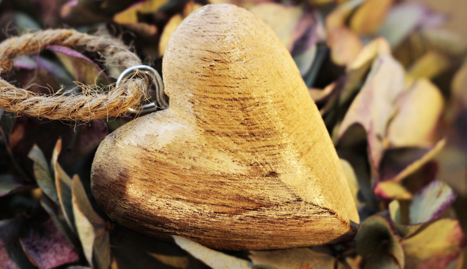 Canon EOS 100D (EOS Rebel SL1 / EOS Kiss X7) sample photo. Heart, wooden heart, hydrangea photography