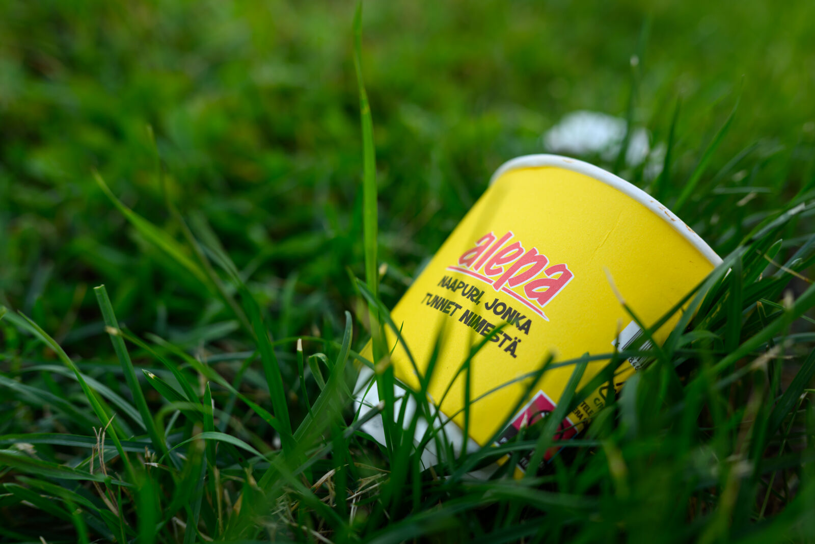 Nikon Nikkor Z 35mm F1.4 sample photo. Littering grounds photography