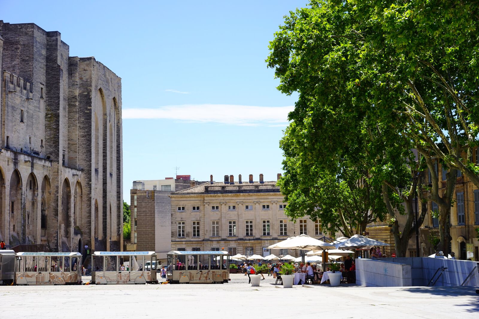 Sony a7 + Sony Sonnar T* FE 55mm F1.8 ZA sample photo. Palais des papes, avignon photography