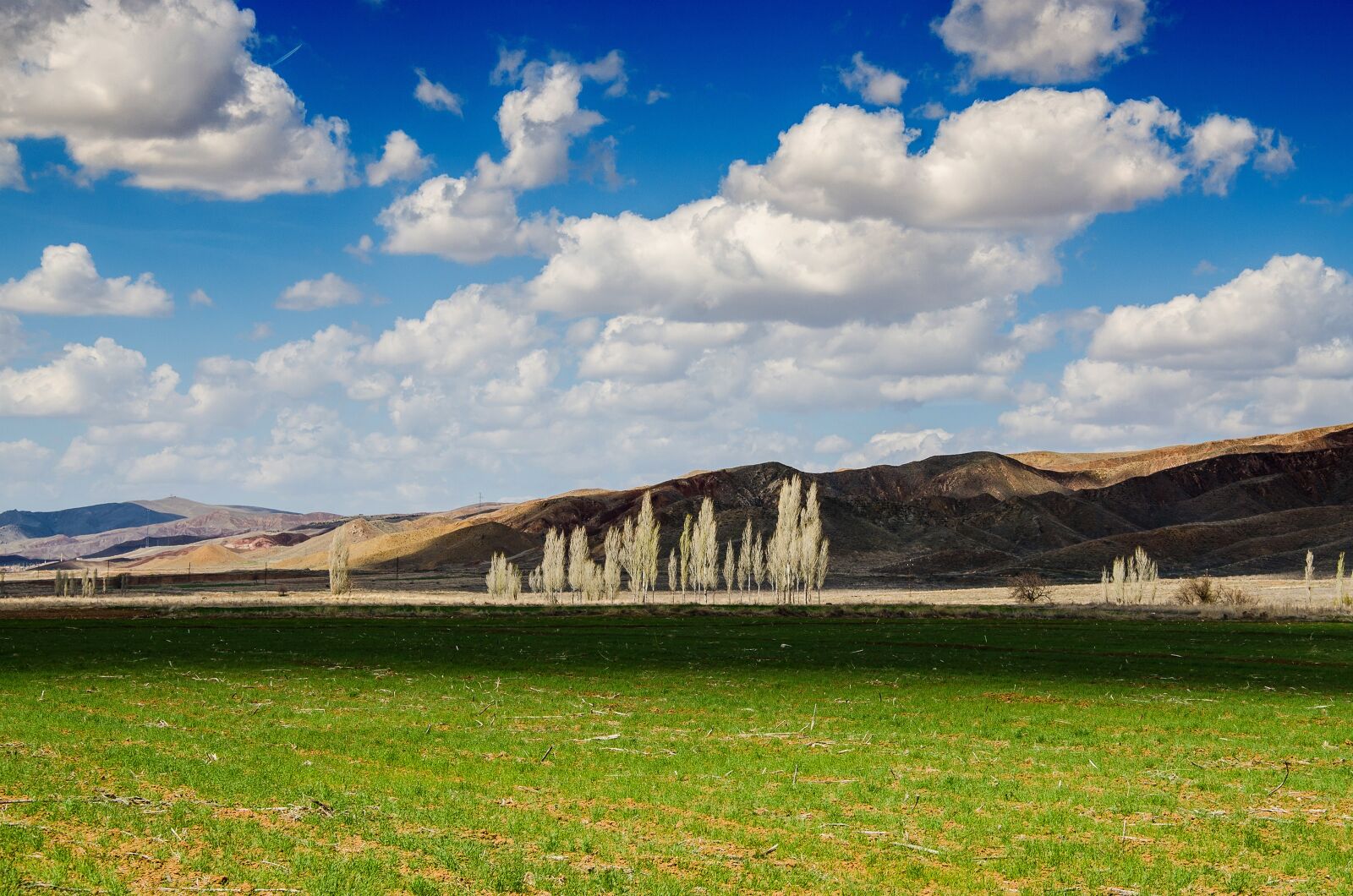 Nikon D7000 sample photo. Trees, sky, mountains photography