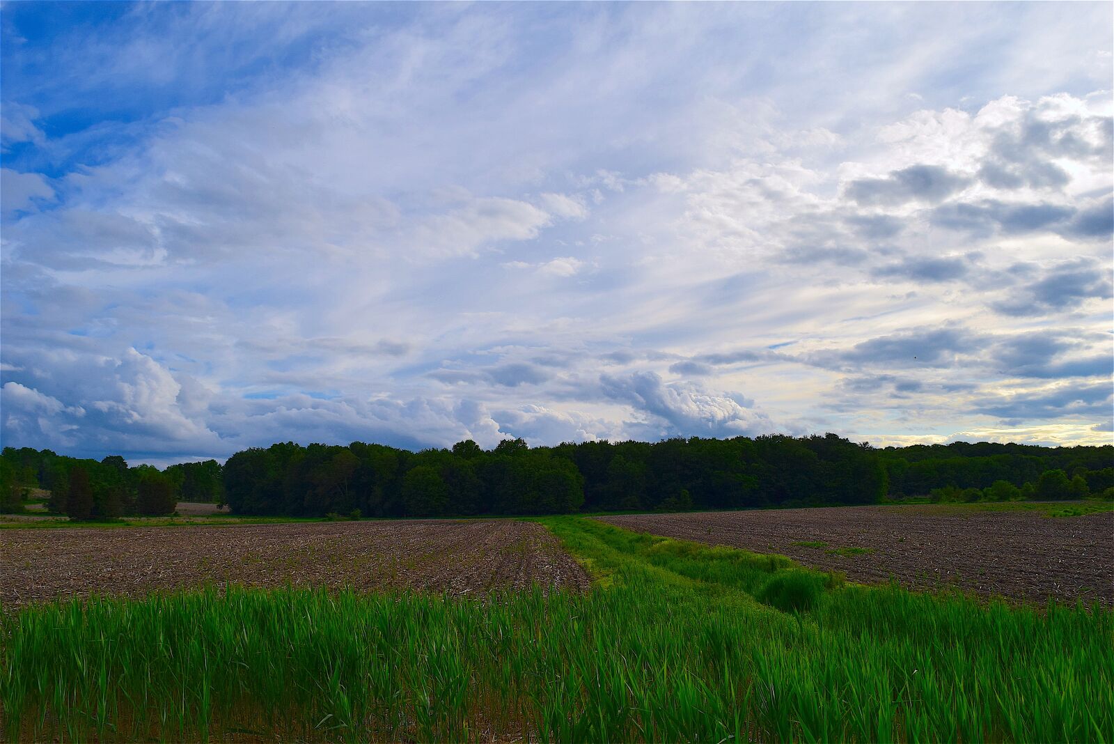 Nikon D3300 sample photo. Field, farm, cloudy sky photography