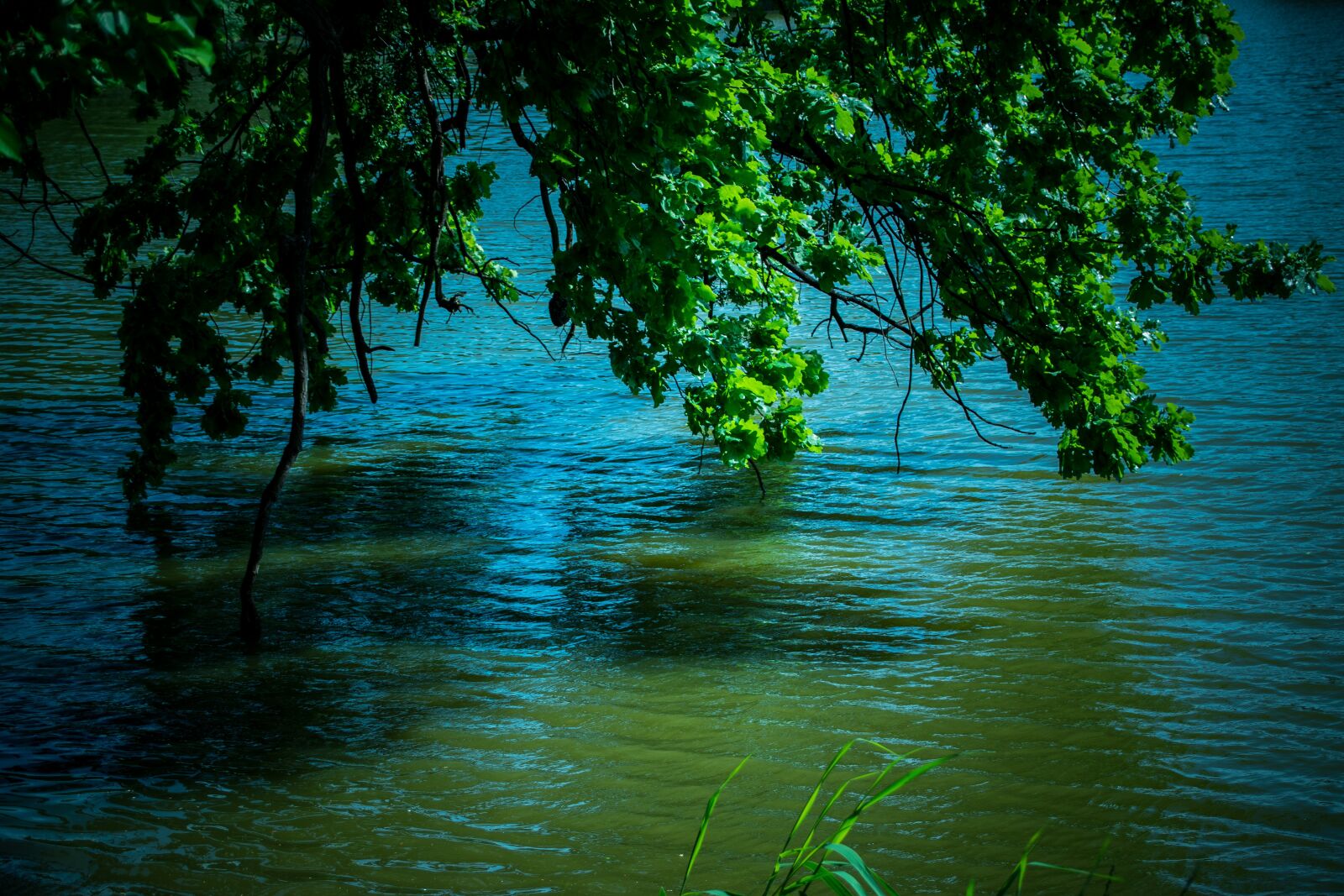 Nikon D5300 sample photo. Still life, lake, water photography