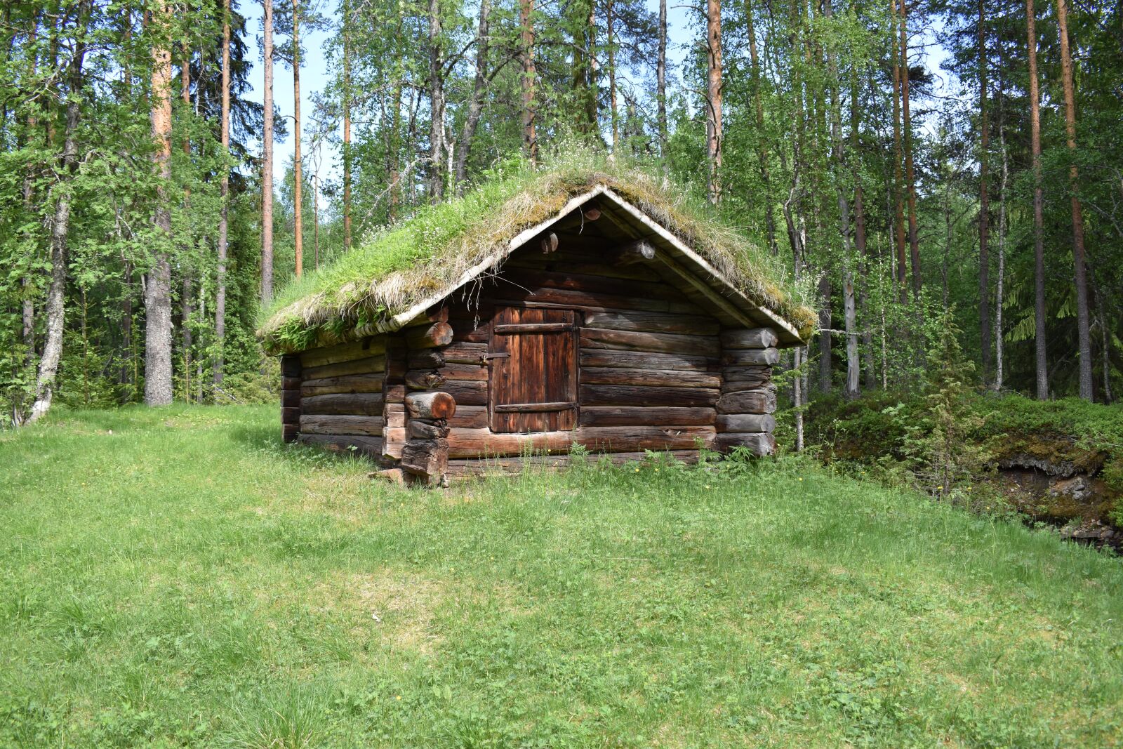 Nikon D3500 sample photo. Small cottage, summer, nature photography