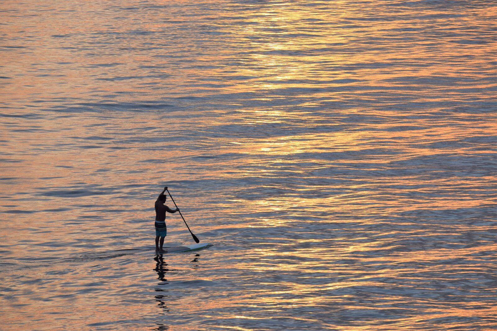 Nikon D3300 sample photo. Solo, paddle board, vacation photography