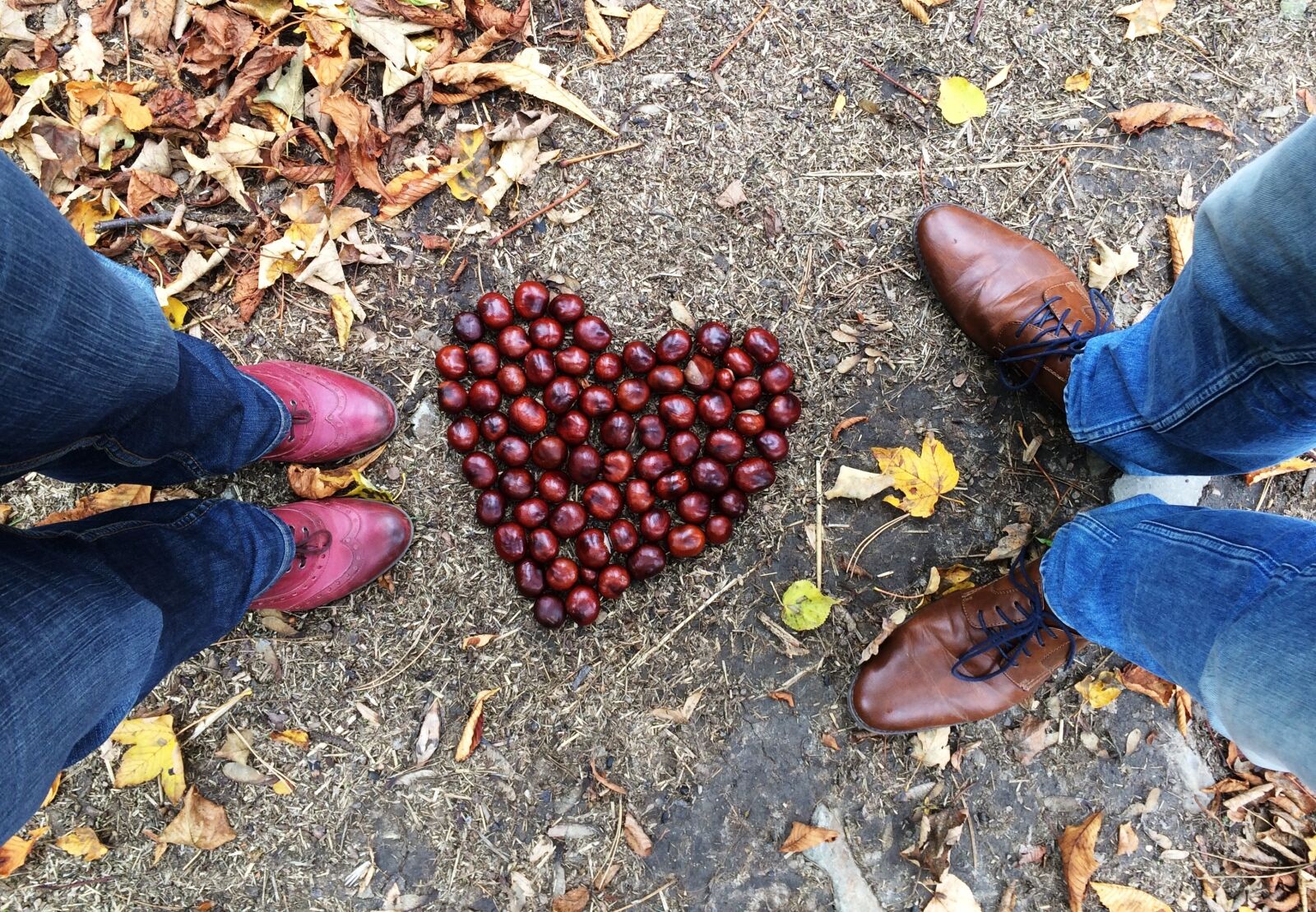 iPhone 5s back camera 4.15mm f/2.2 sample photo. Chestnut, love, heart photography