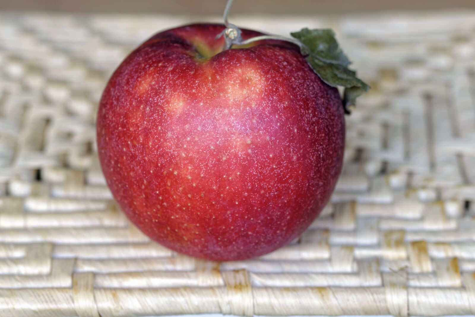 Nikon D5300 sample photo. Apple, red, tan photography