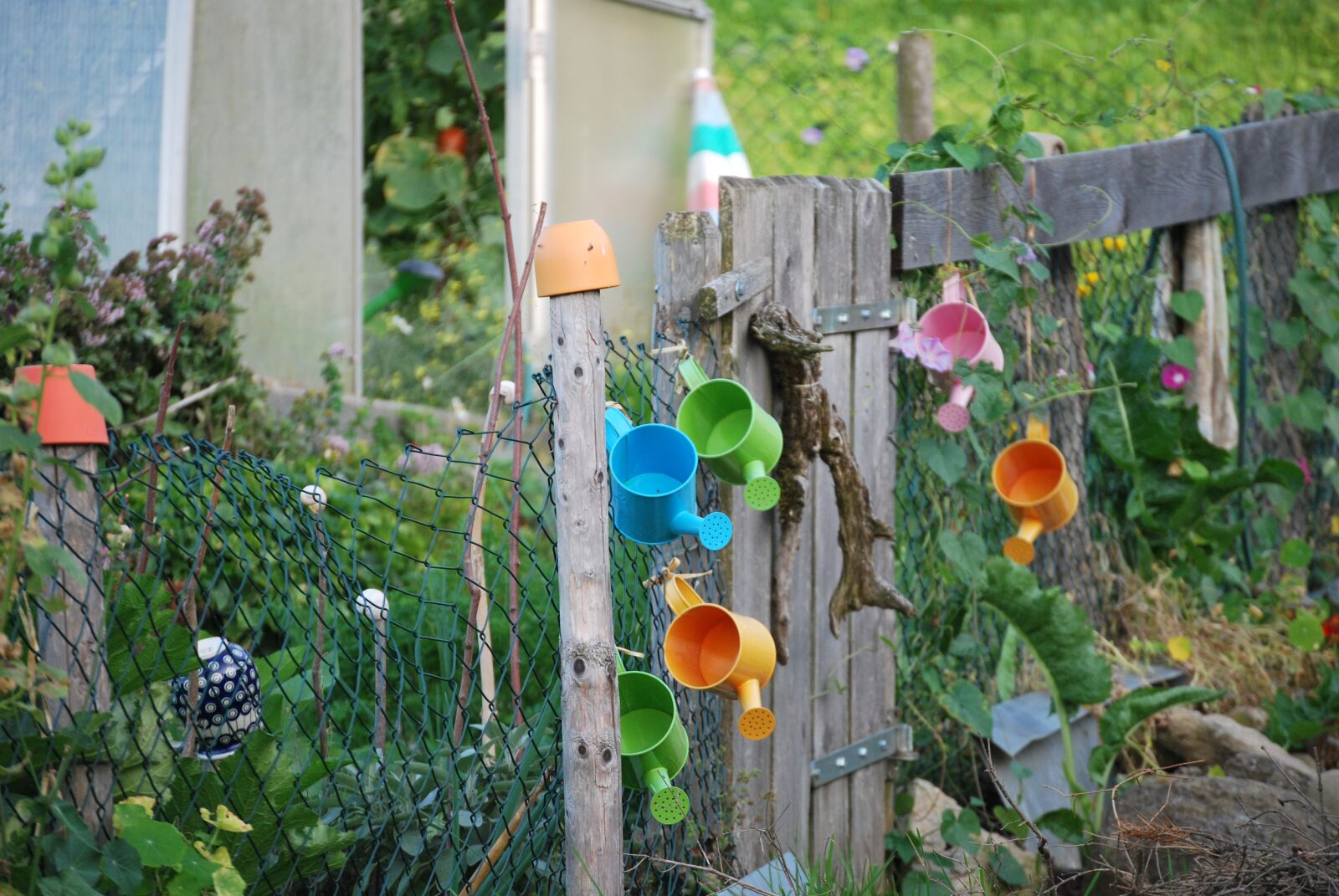Nikon D60 sample photo. Flowerpot, fence, nature photography