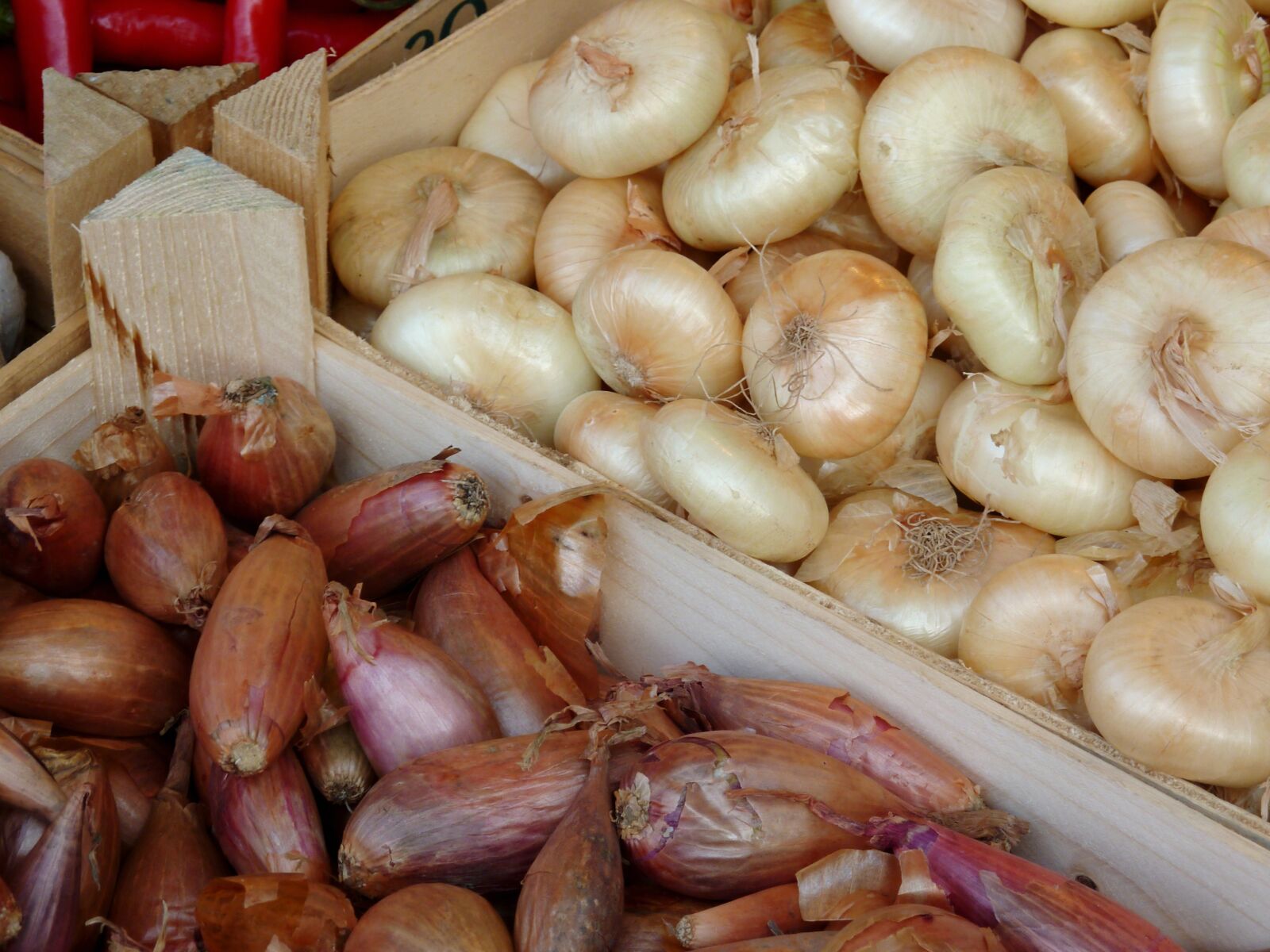 Panasonic DMC-TZ7 sample photo. Onion, vegetables, market photography