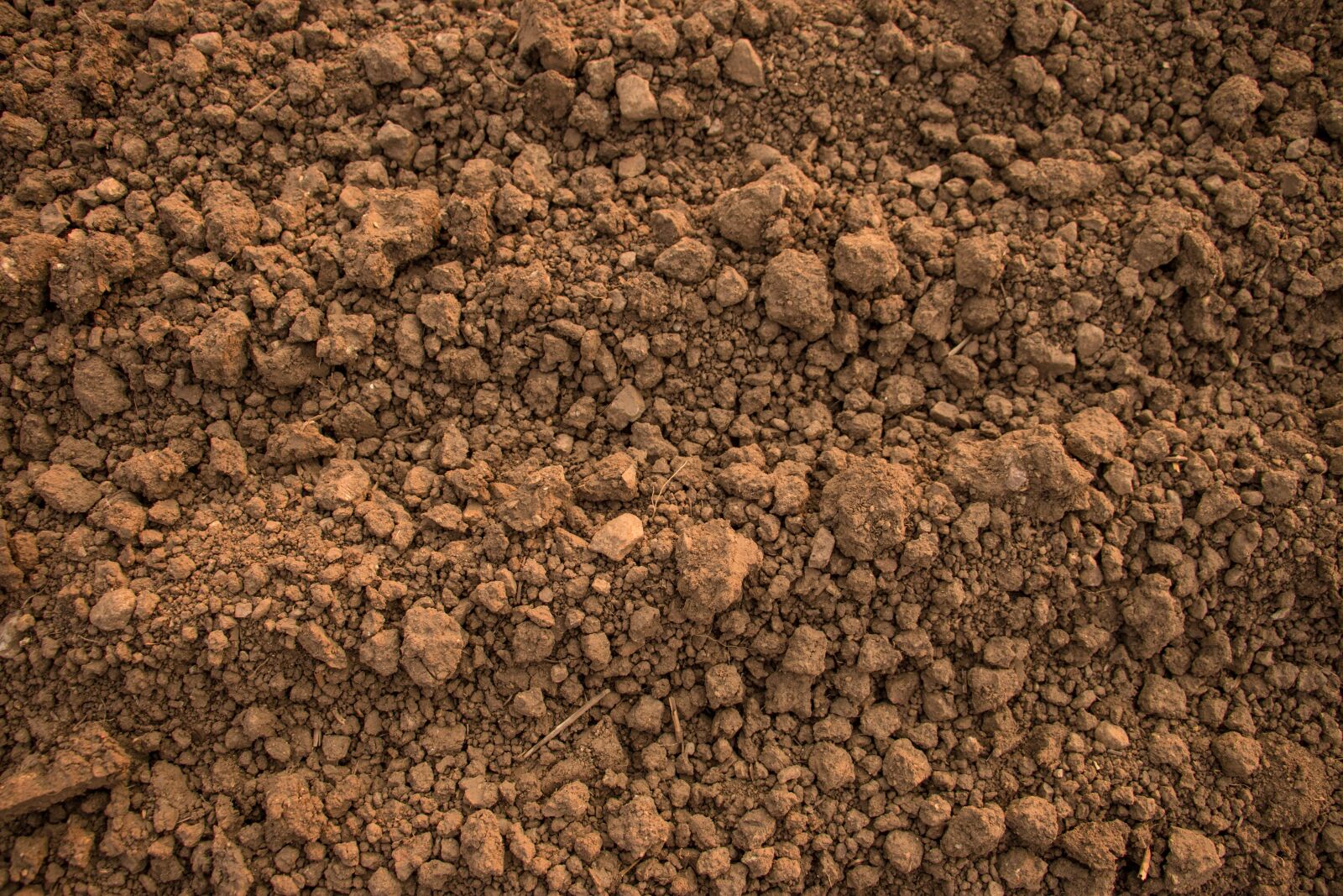 Canon EOS 70D sample photo. Stones, pebble, sand photography
