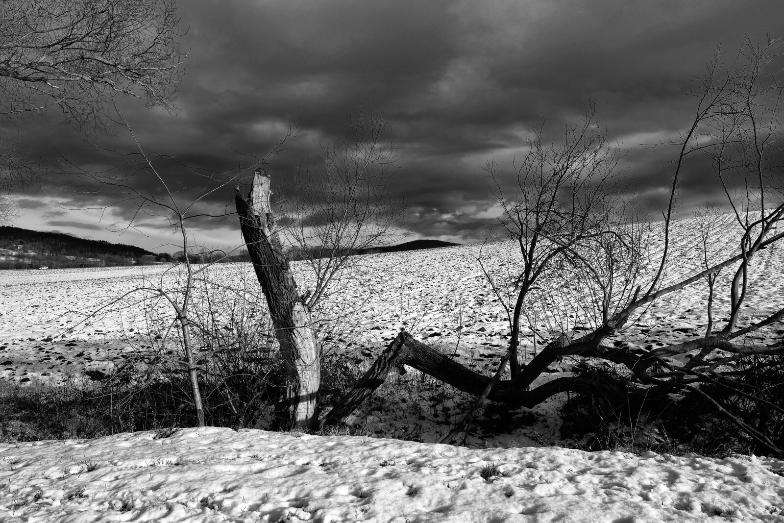 Fujifilm XF 16mm F1.4 R WR sample photo. Landscape, clouds, field photography