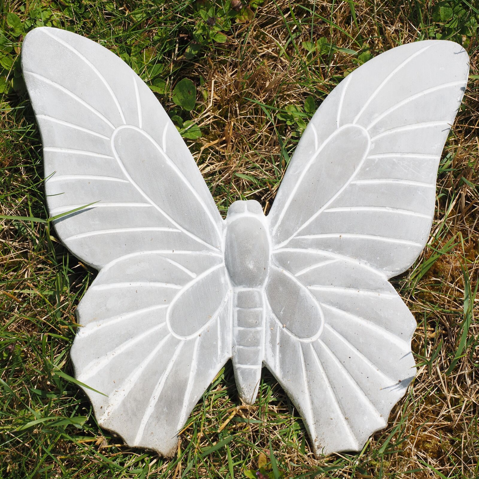 Olympus OM-D E-M1 + Olympus M.Zuiko Digital ED 12-40mm F2.8 Pro sample photo. Butterfly, garden, decoration photography