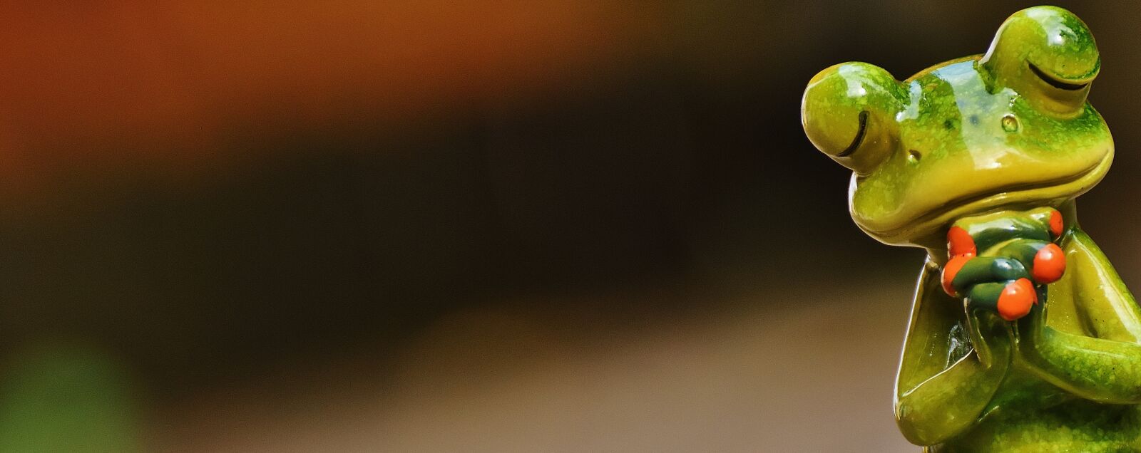 Nikon D7200 sample photo. Frog, pray, harmony photography