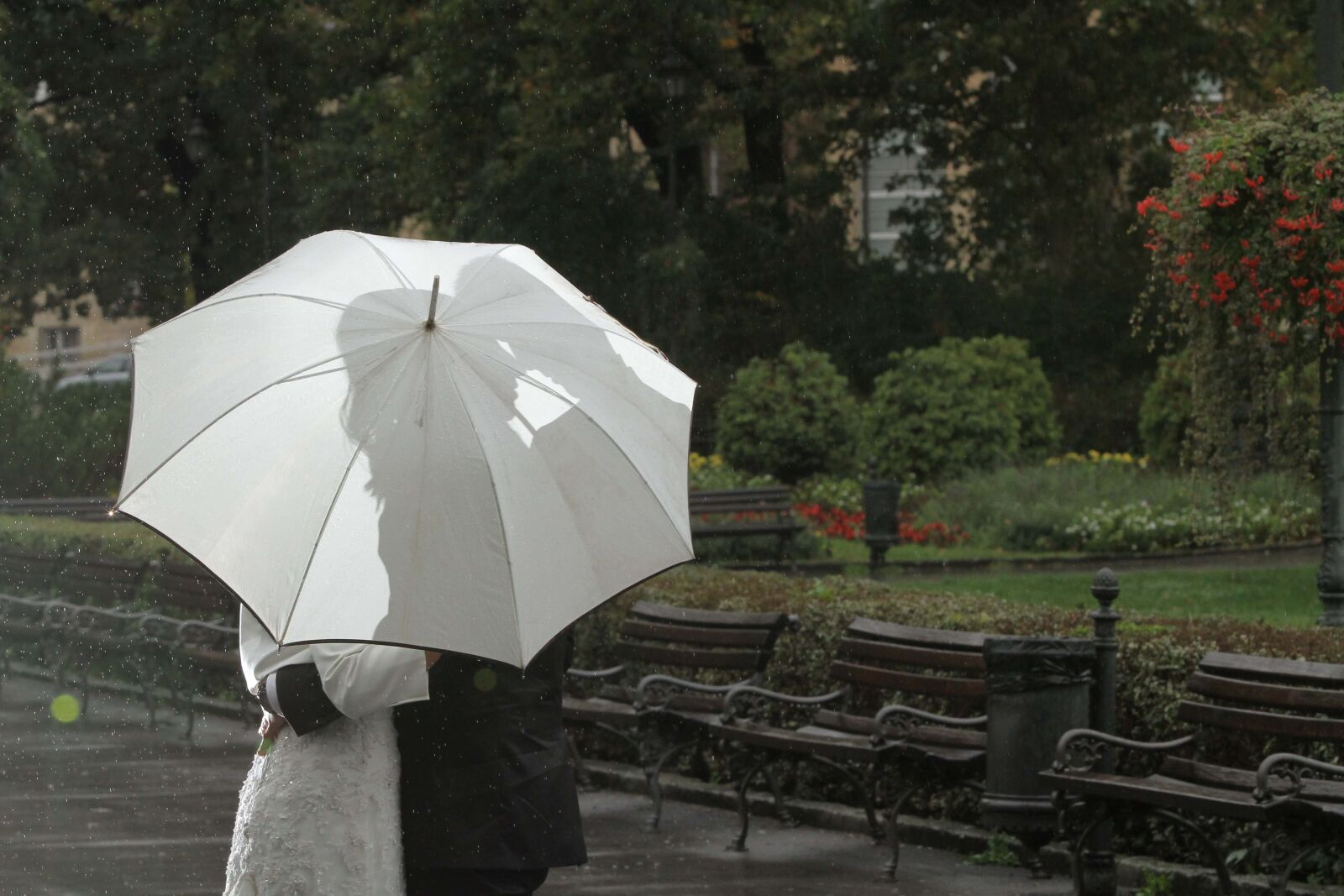 Canon EF 70-200mm F2.8L IS USM sample photo. Bride, garden, hug, kiss photography