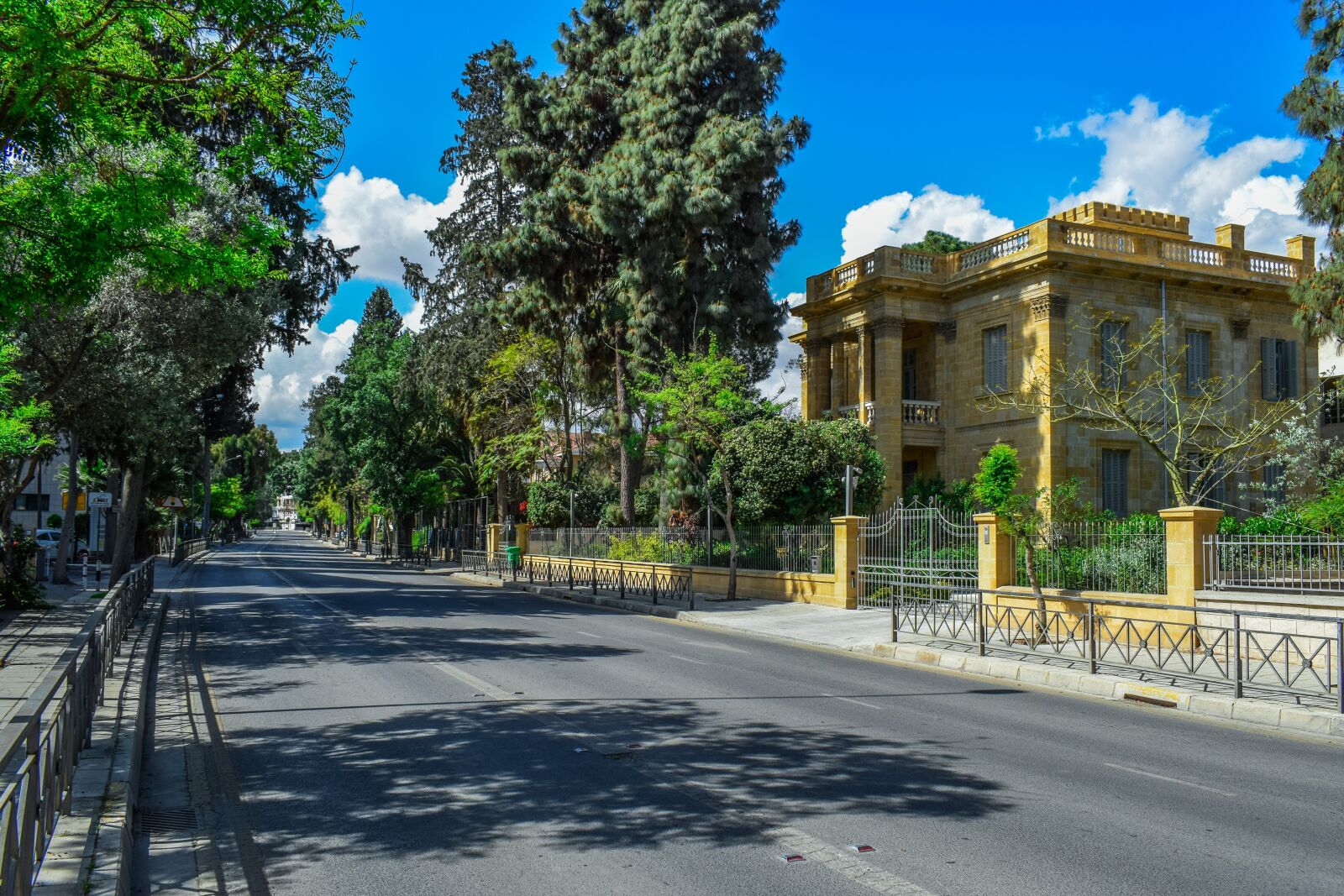Nikon D3300 sample photo. Trees, street, building photography