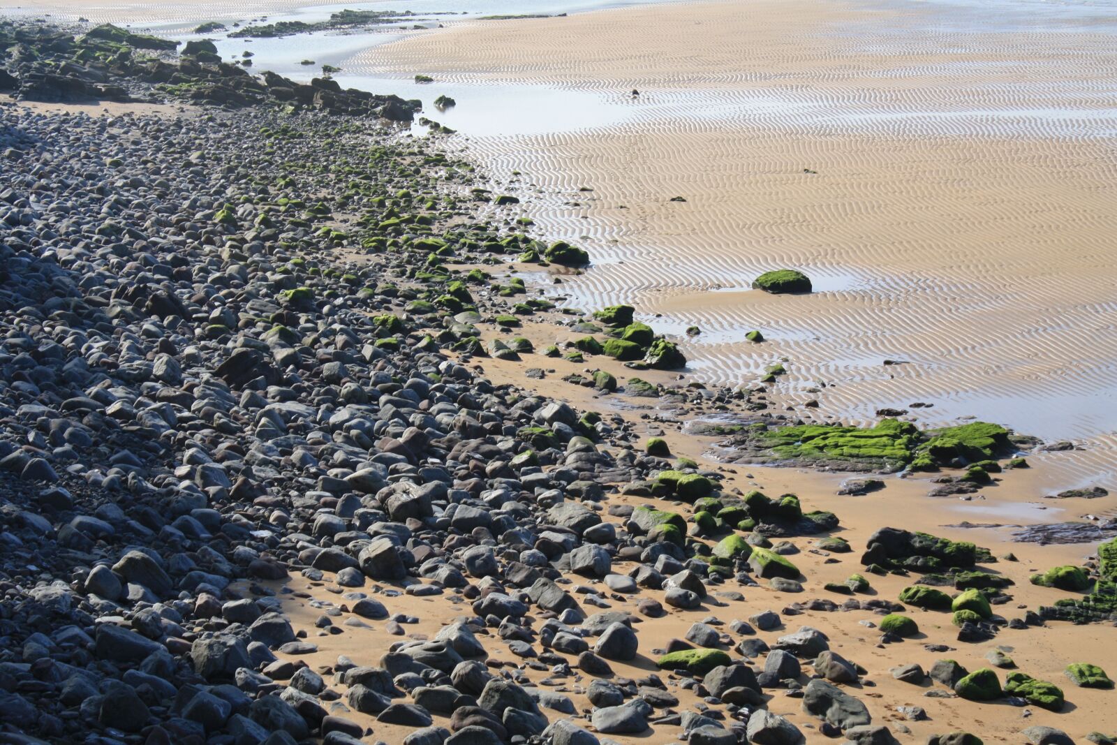 Canon EOS 1000D (EOS Digital Rebel XS / EOS Kiss F) sample photo. Shingle beach, sea, sand photography