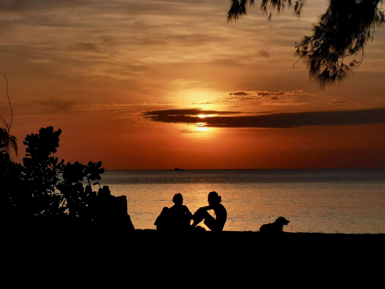 HUAWEI ELE-L29 sample photo. Beach, paradise, island photography