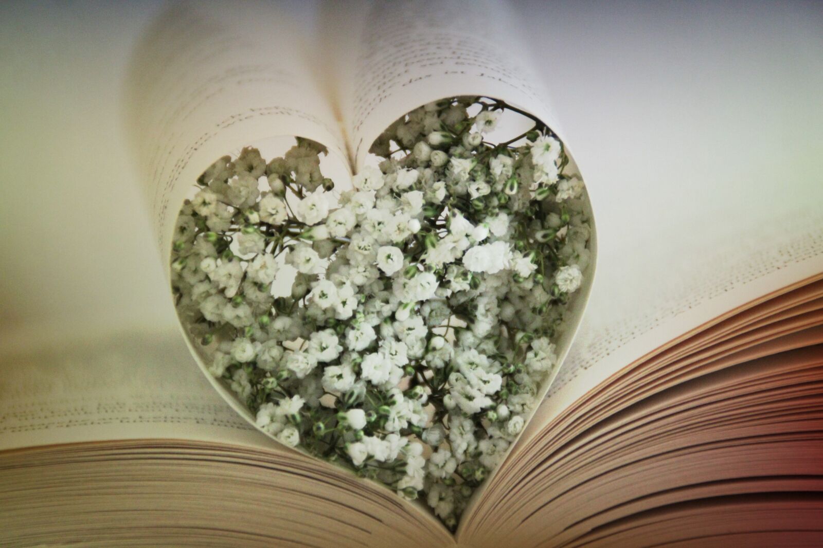 Canon EOS 2000D (EOS Rebel T7 / EOS Kiss X90 / EOS 1500D) sample photo. Heart, book, love photography