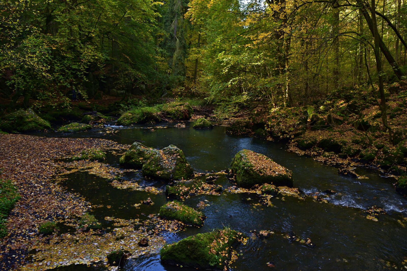 Nikon D5200 sample photo. Autumn, nature, creek photography